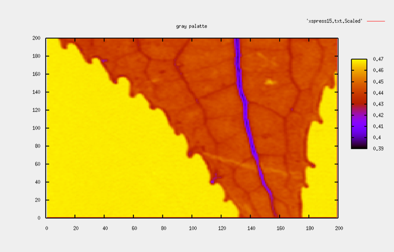 image-20260416-185008.png