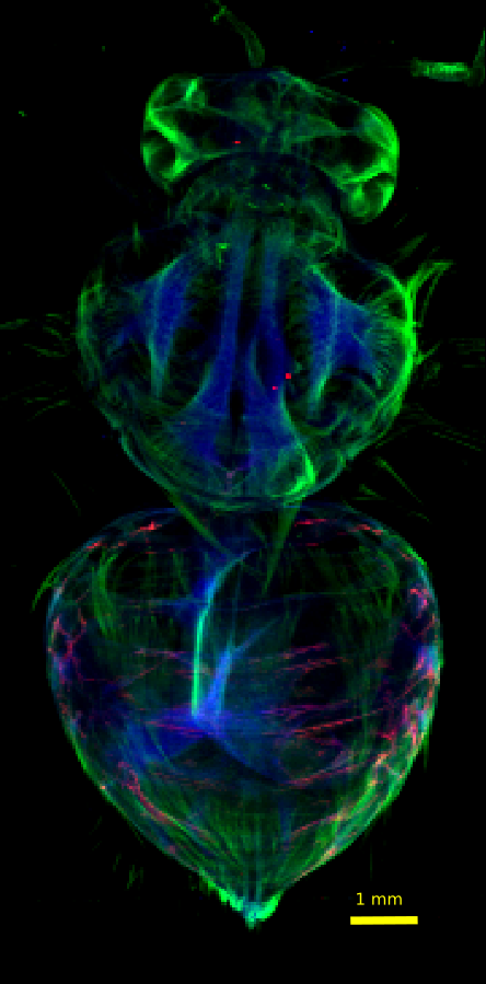 image-20260416-193558.png
