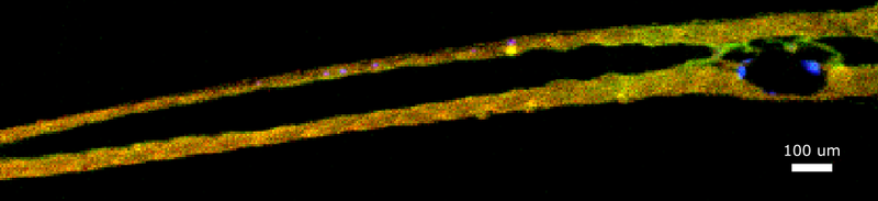 image-20260416-031139.png